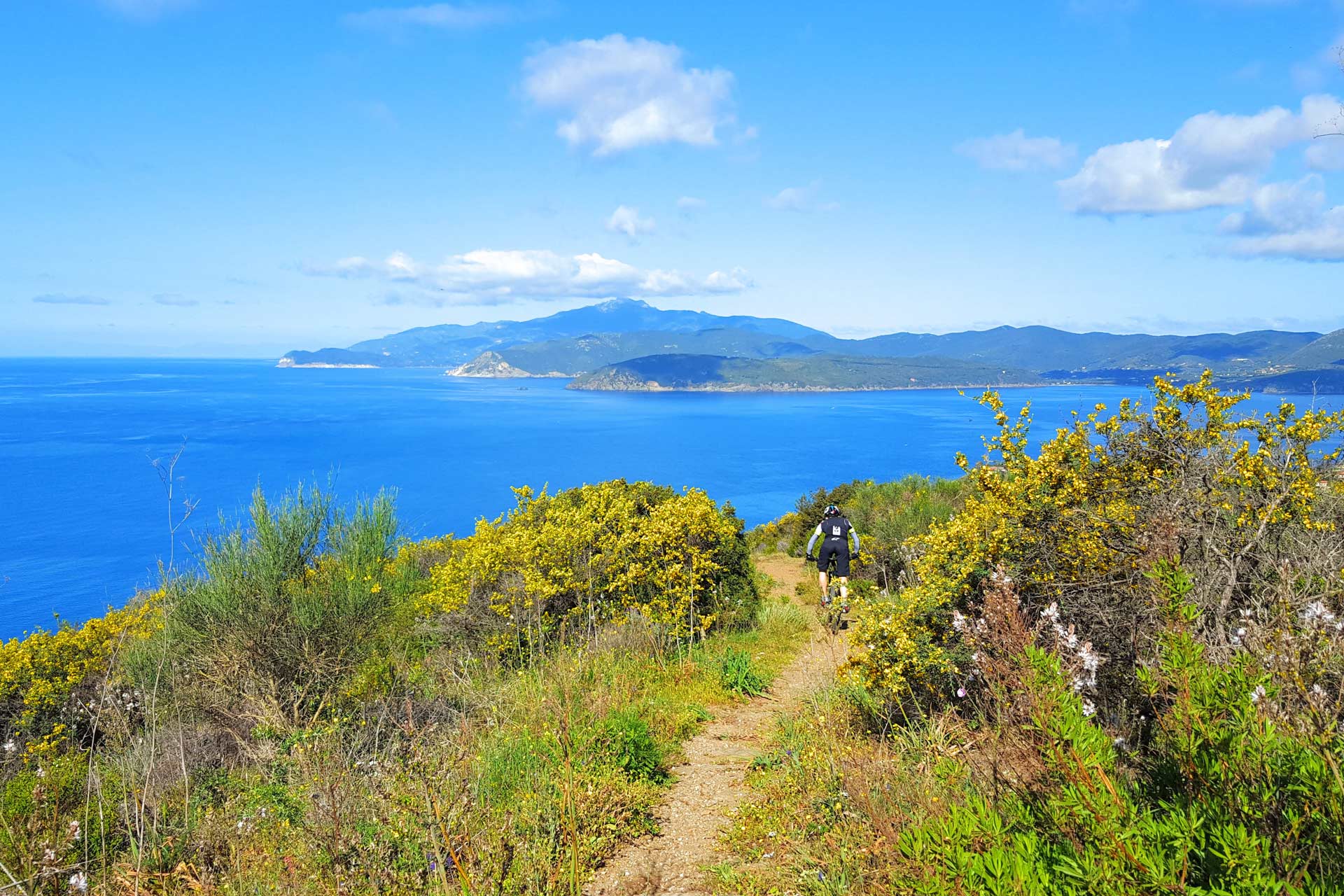 mtb isola d'elba