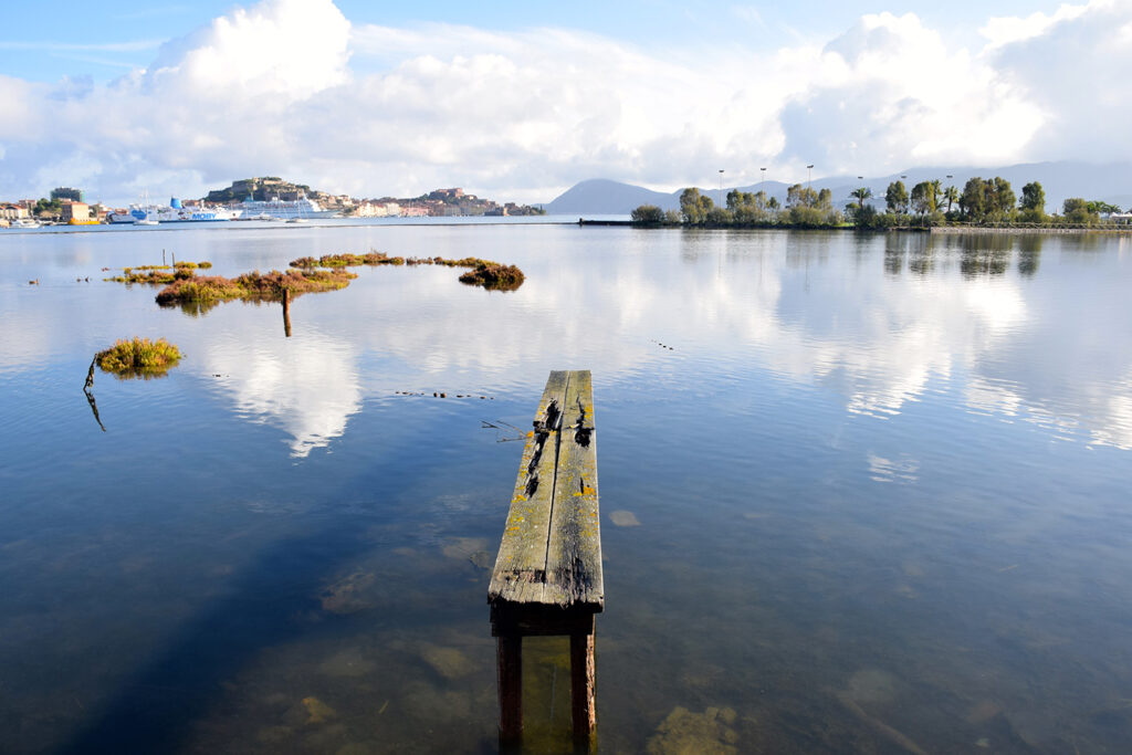 hotel-airone-isola-elba-family-hotel-terme
